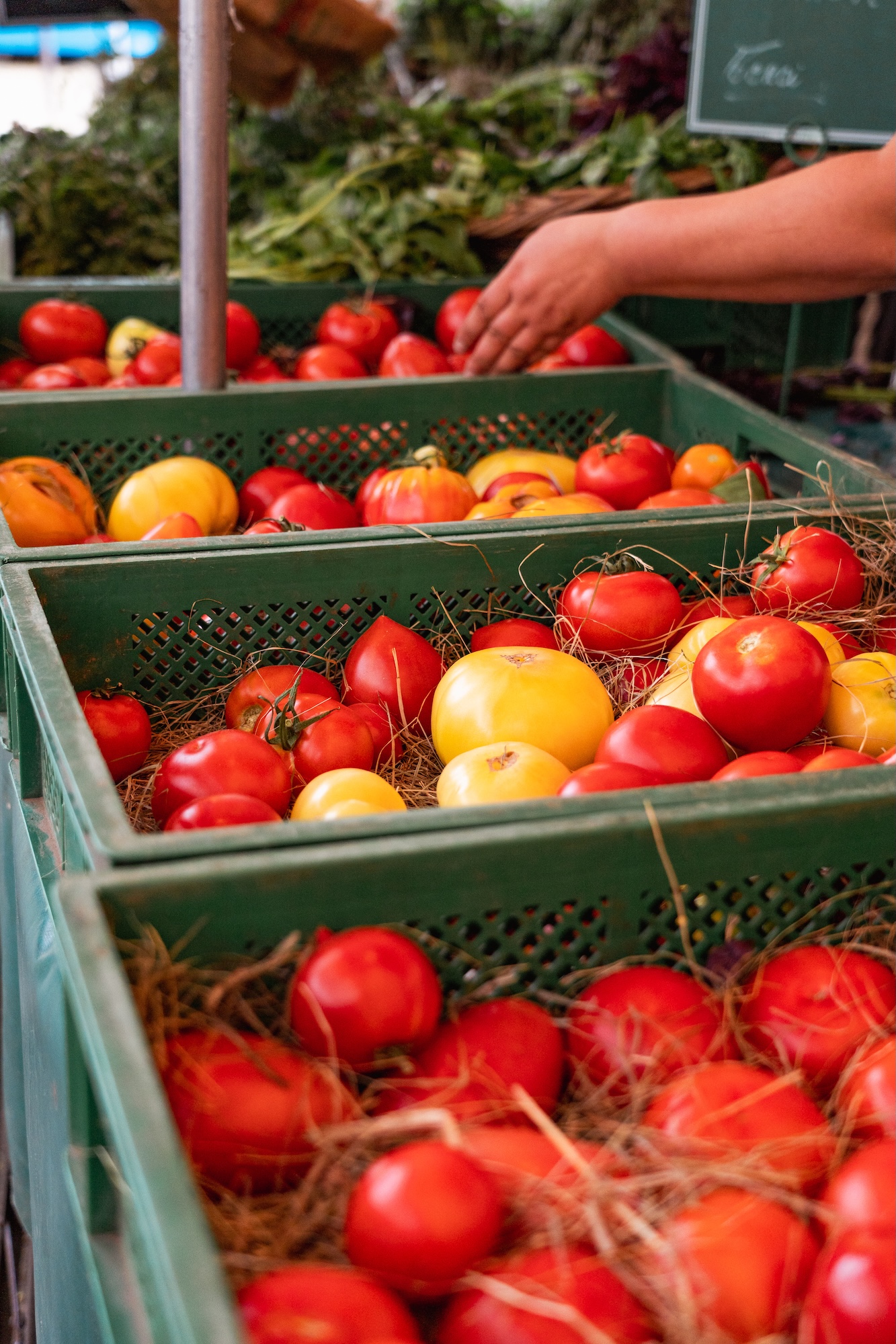 Paris food market tomatoes